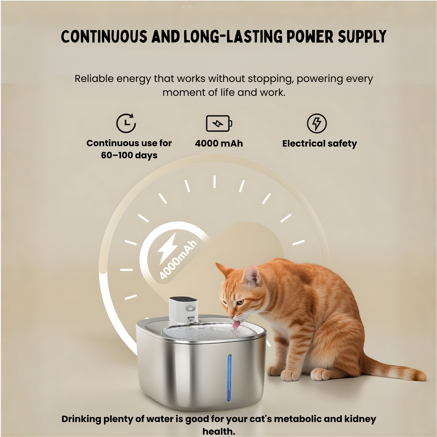 4L Cordless Water Fountain with Sensor for Pets